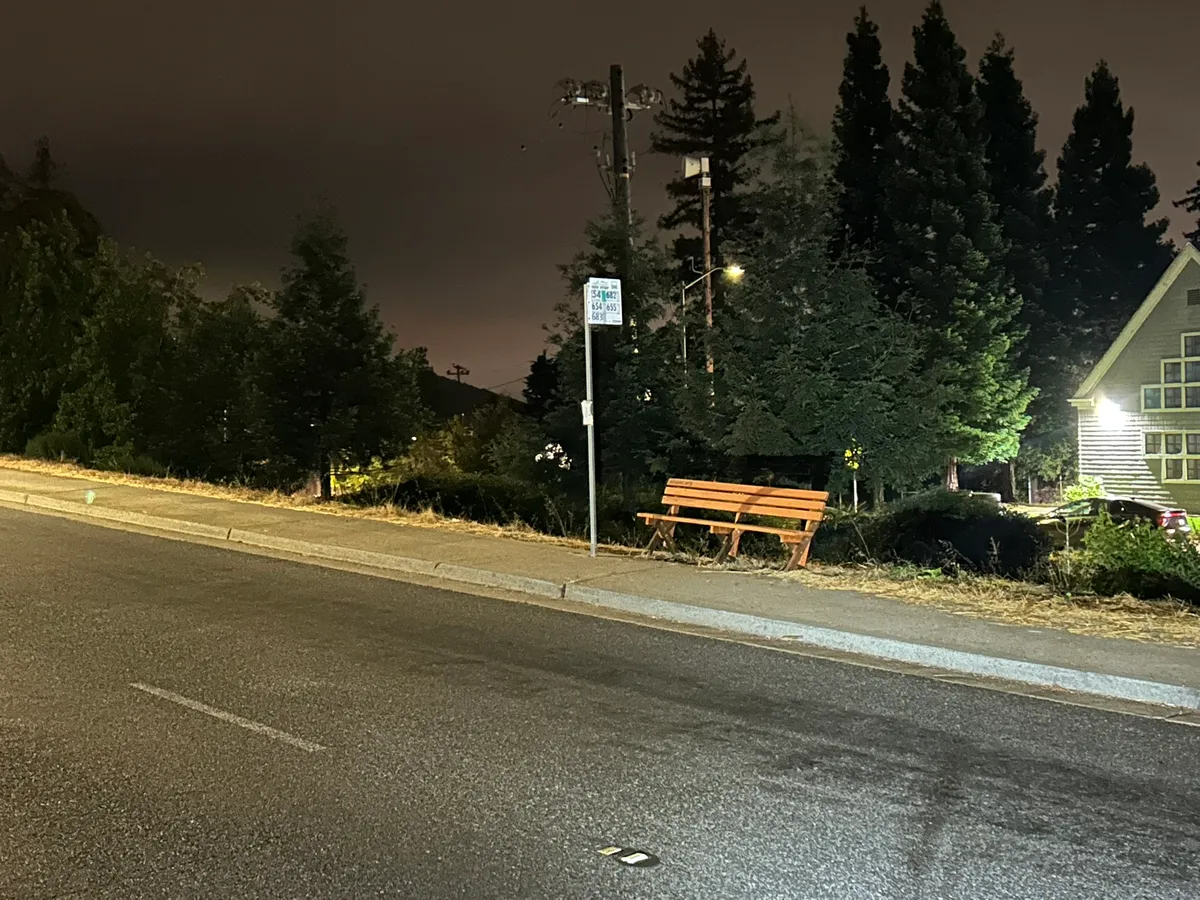 Photo of the bench.