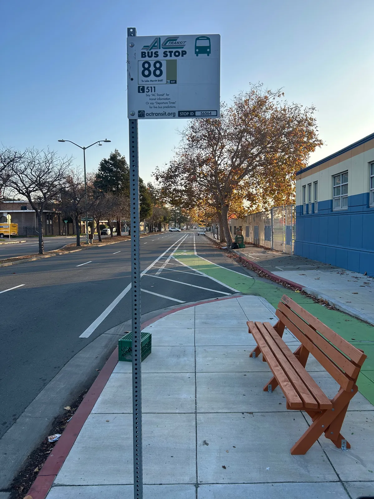 Photo of the bench.