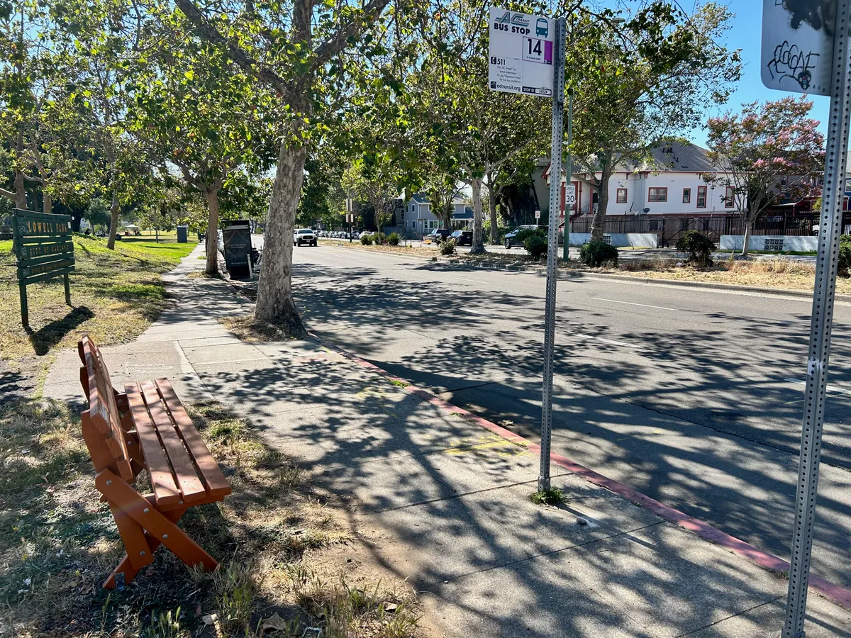 Photo of the bench.